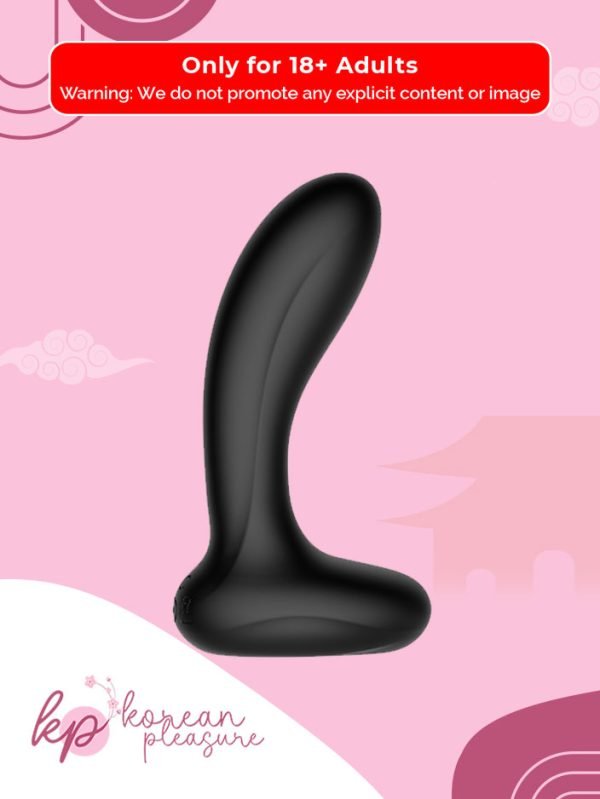The Sleek and Black Prostate Vibrator with USB Port