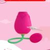 Micro Rose Egg-Shaped Sucking Vibrator for Clitoral and G-spot Stimulation